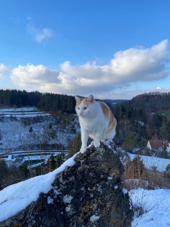 Gasthof Zur Sagemuhle Apartment Hiltpoltstein ภายนอก รูปภาพ