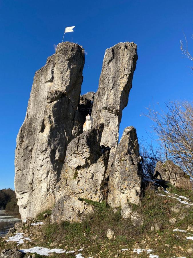 Gasthof Zur Sagemuhle Apartment Hiltpoltstein ภายนอก รูปภาพ